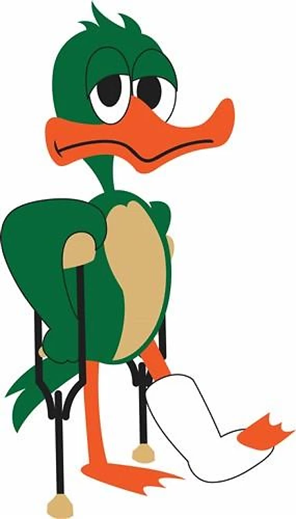 LAME DUCK