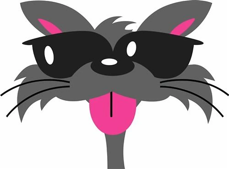 COOL CAT