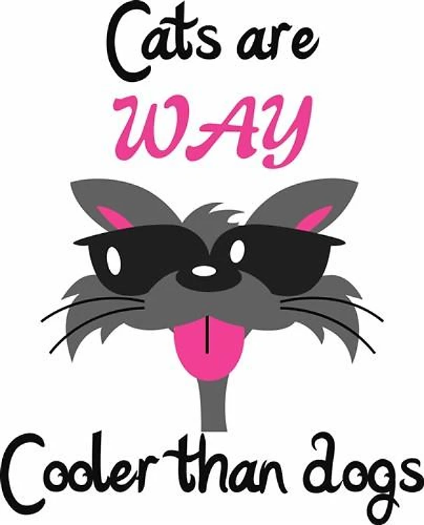 CATS ARE COOLER