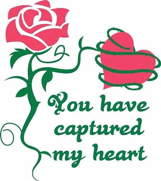 MY CAPTURED HEART