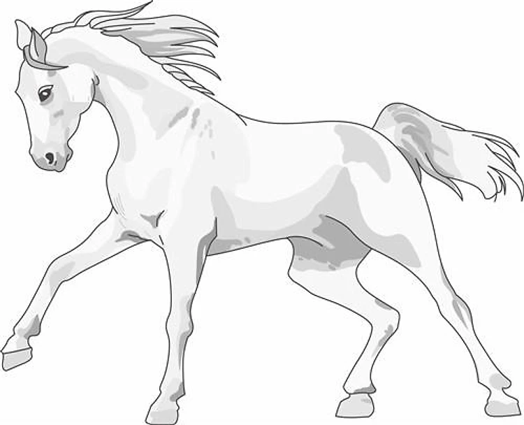 LARGE OPEN HORSE