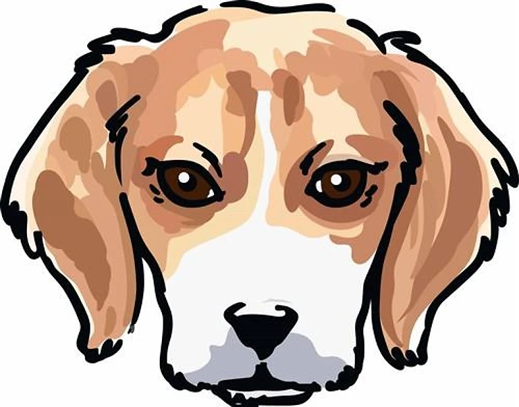 BEAGLE HEAD