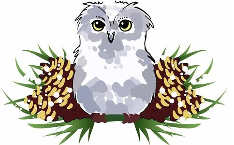 HOLIDAY OWL