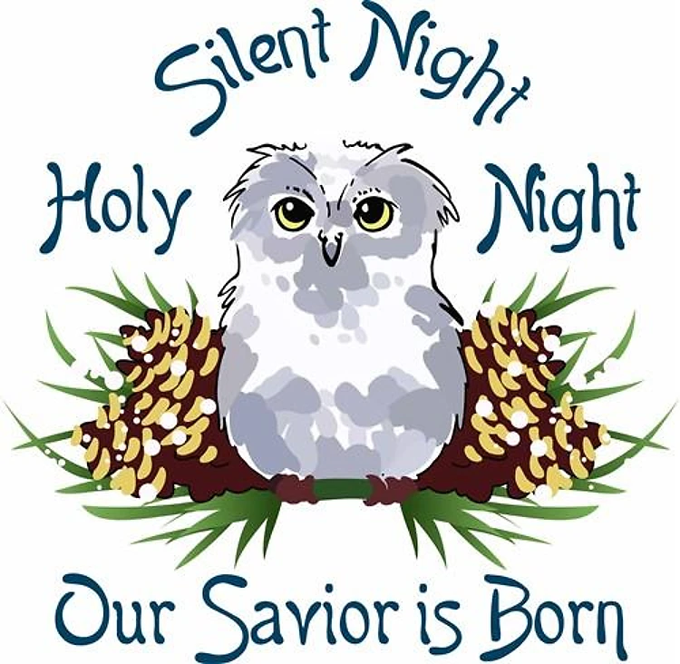 OUR SAVIOR IS BORN