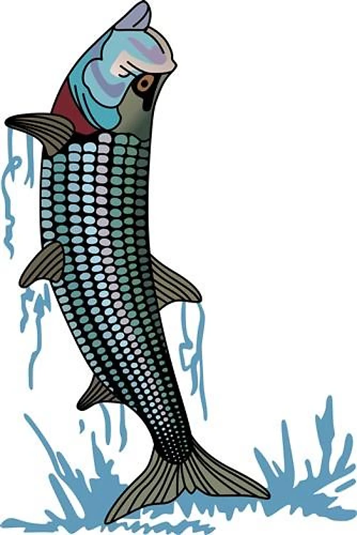 TARPON