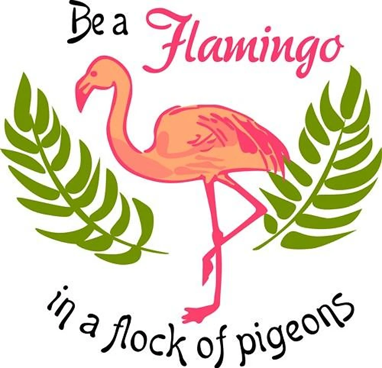 Be A Flamingo
