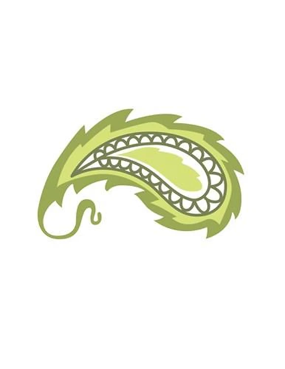 PASSION (PAISLEY) DESIGNS