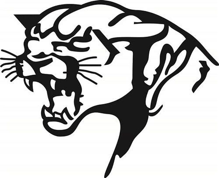 BLACK PANTHER