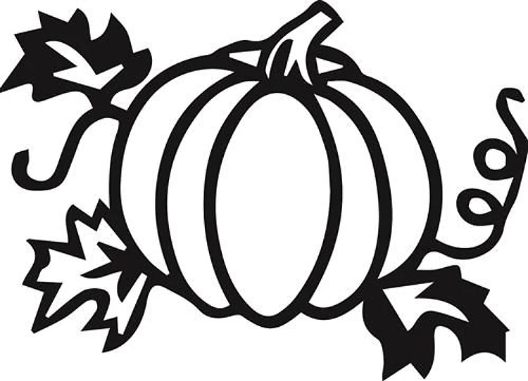COOL KITCHEN PUMPKIN