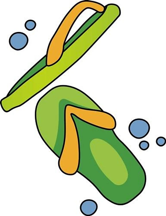 FLIP FLOP