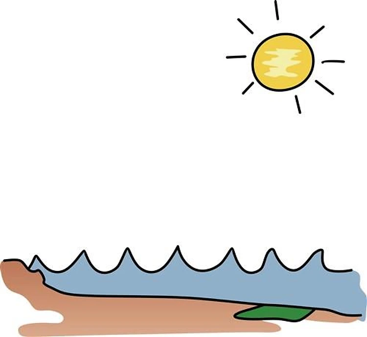 HIT THE BEACH