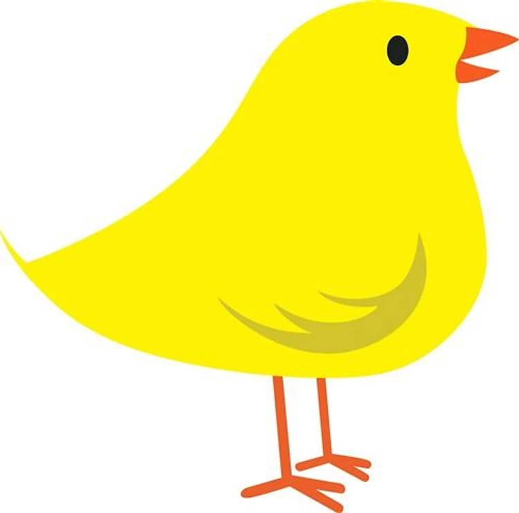 LITTLE CHICK