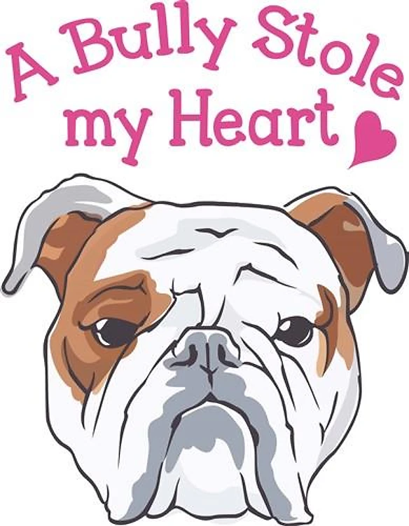 BULLY STOLE MY HEART
