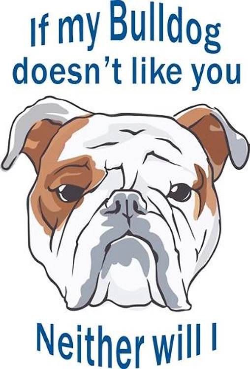 BULLDOG DOESNT LIKE YOU