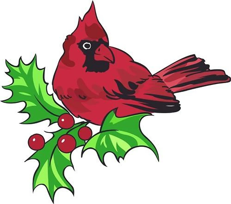 CARDINAL ON HOLLY
