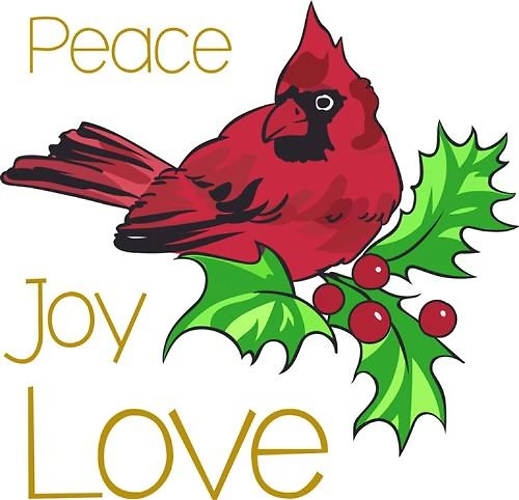 PEACE JOY LOVE