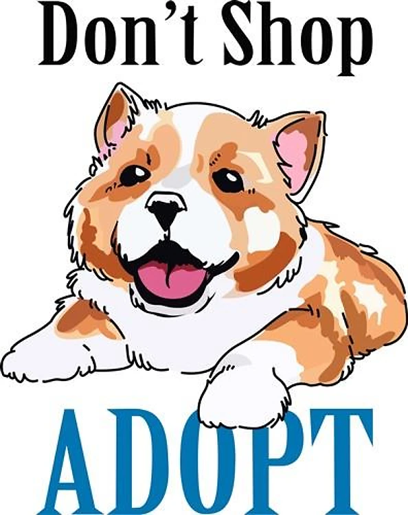 DONT SHOP ADOPT