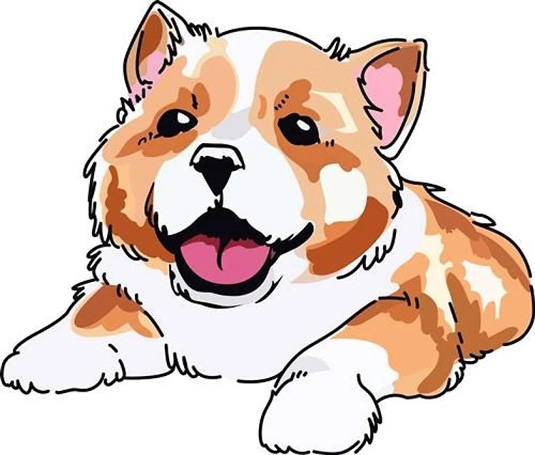 WELSH CORGI PUP