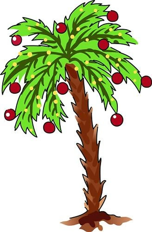 CHRISTMAS PALM TREE