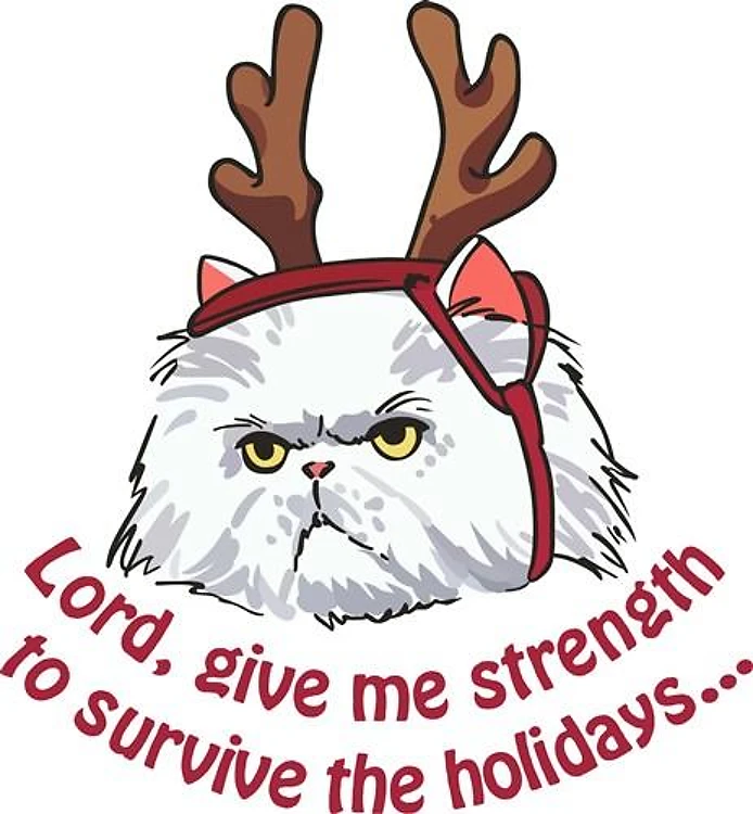 STRENGTH FOR HOLIDAYS
