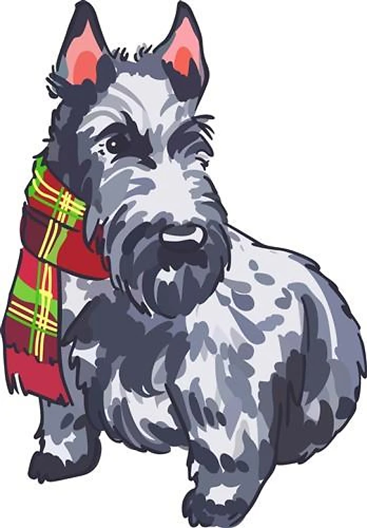 SCOTTISH TERRIER