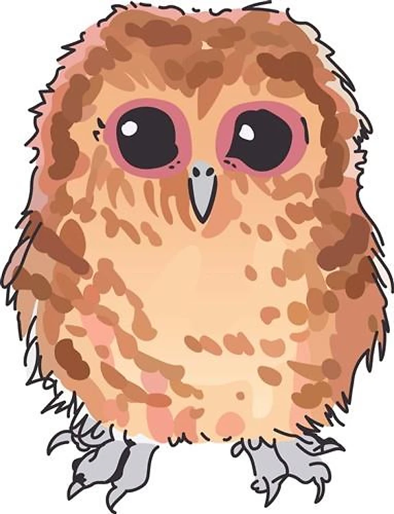 TAWNY OWLET