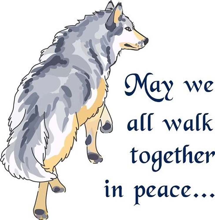 WALK TOGETHER IN PEACE