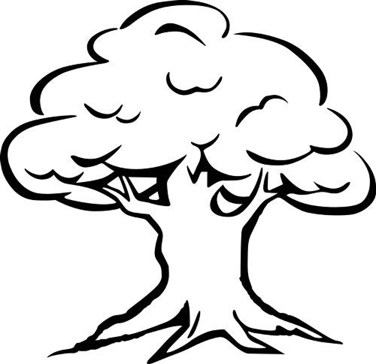 INITIAL TREE