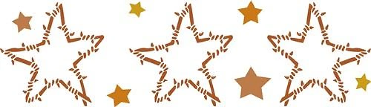 WESTERN STARS BORDER