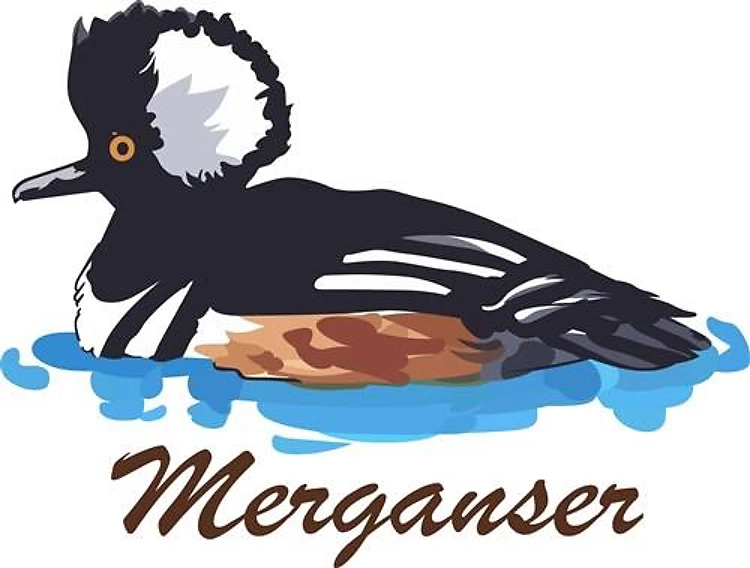 MERGANSER DUCK