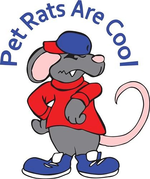 PET RATS ARE COOL