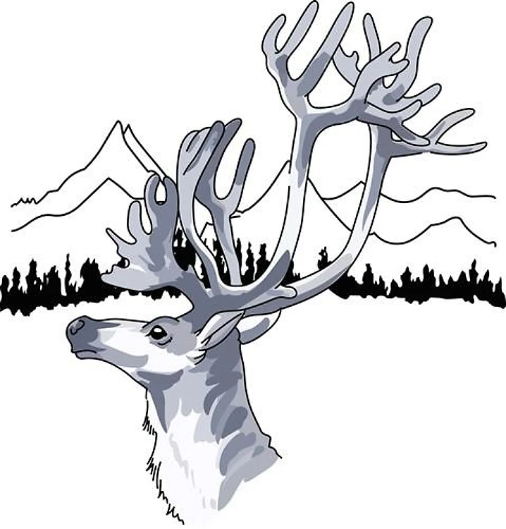 REINDEER HEAD BACKDROP
