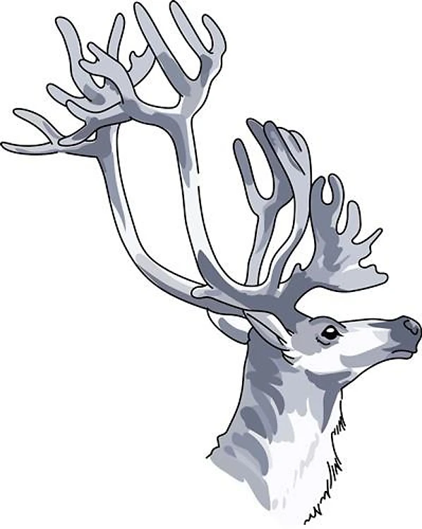 REINDEER HEAD