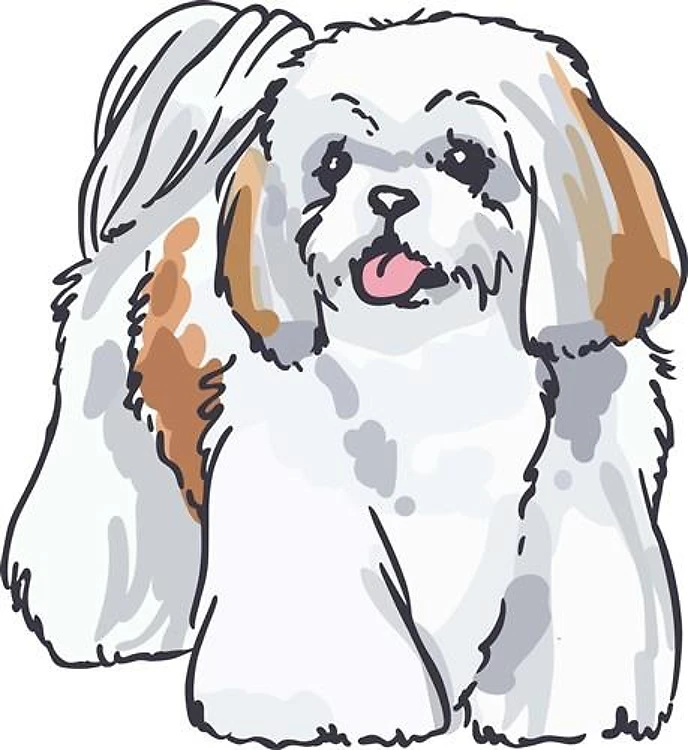 SHIH TZU DOG