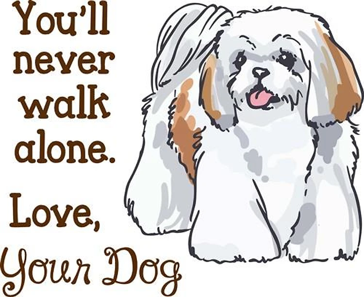 YOULL NEVER WALK ALONE