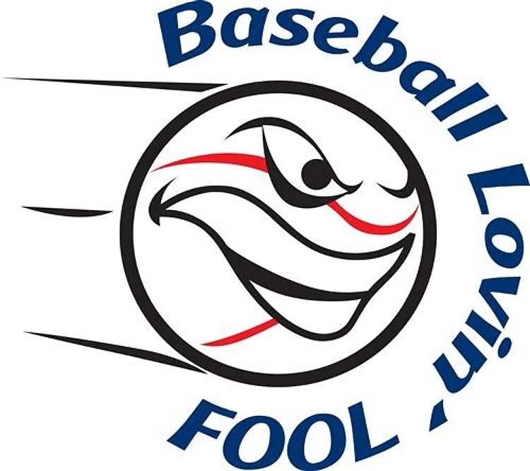 BASEBALL LOVIN FOOL