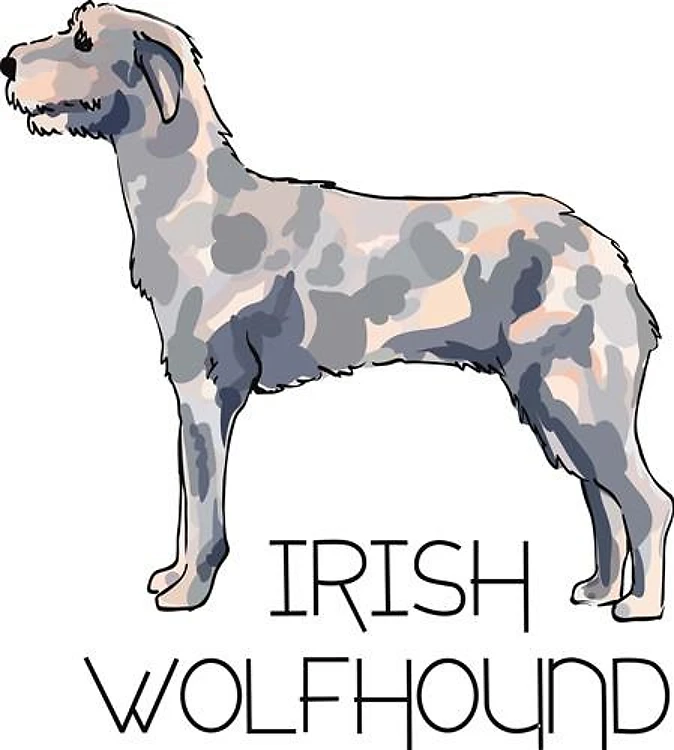 IRISH WOLFHOUND LETTERS