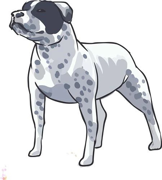STAFFORDSHIRE DOG
