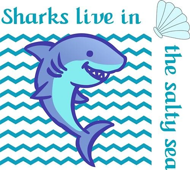 SHARKS LIVE IN THE SALTY SEA