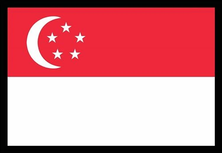FLAG OF SINGAPORE