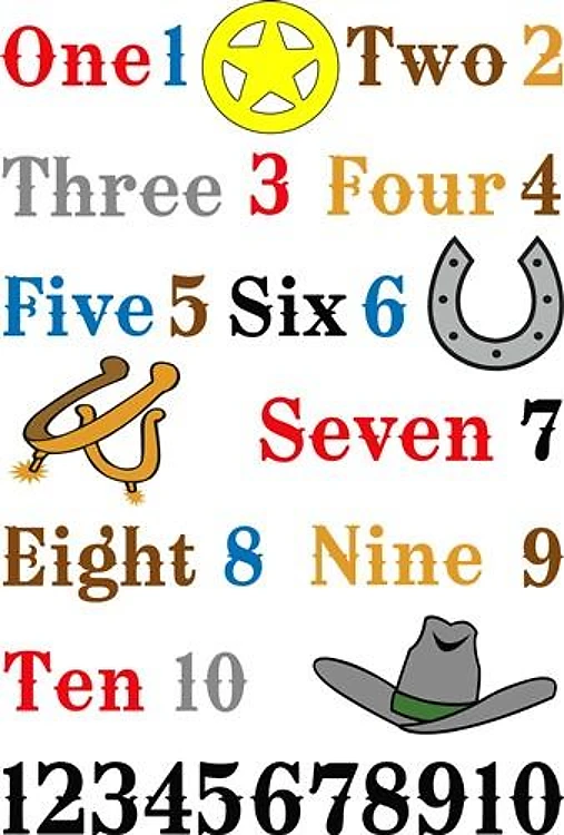 COWBOYS ROOM DECOR