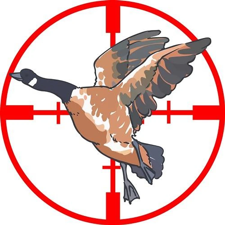CANADA GOOSE IN CROSSHAIR