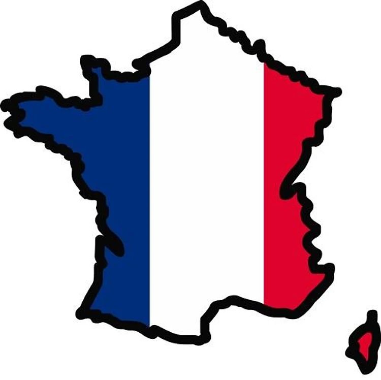 FRANCE MAP FLAG
