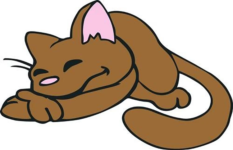 CAT NAP