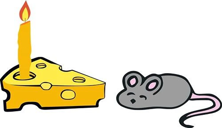 BIRTHDAY MOUSE