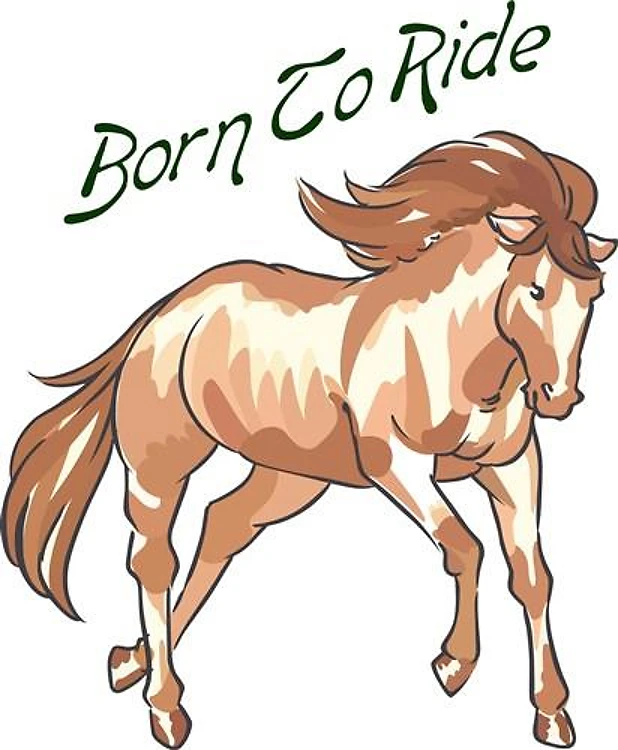 BORN TO RIDE