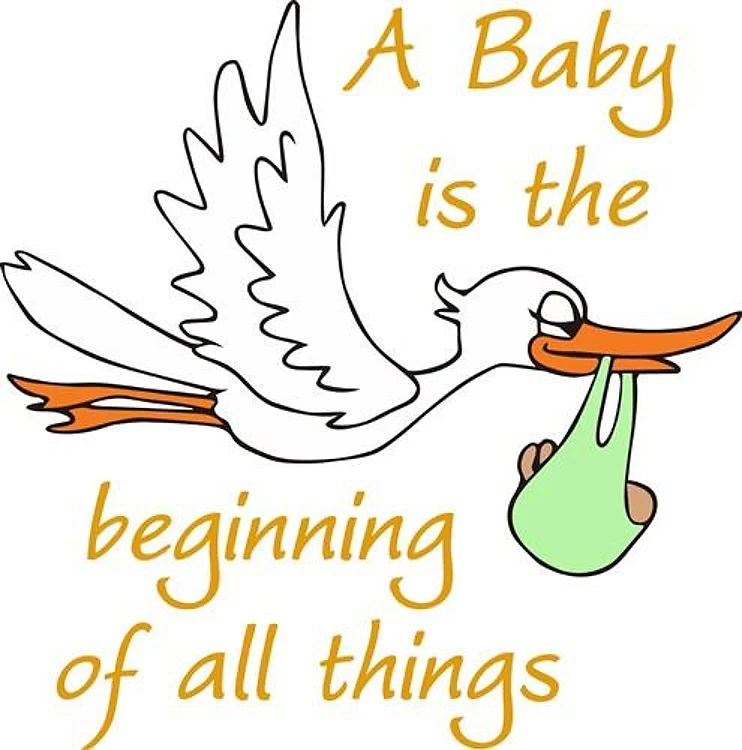BABY IS THE BEGINNING