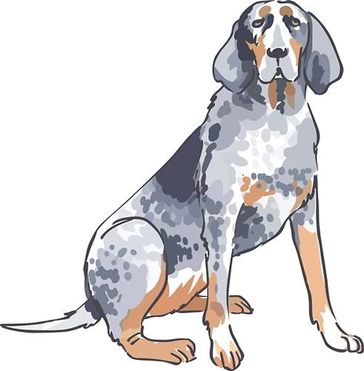 BLUETICK COONHOUND