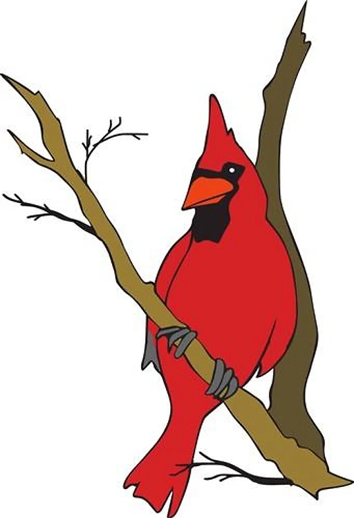 CARDINAL IN WINTER