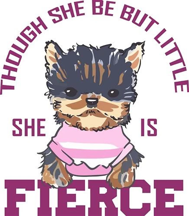SHE IS FIERCE